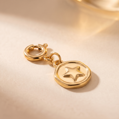 Polaris Charm
